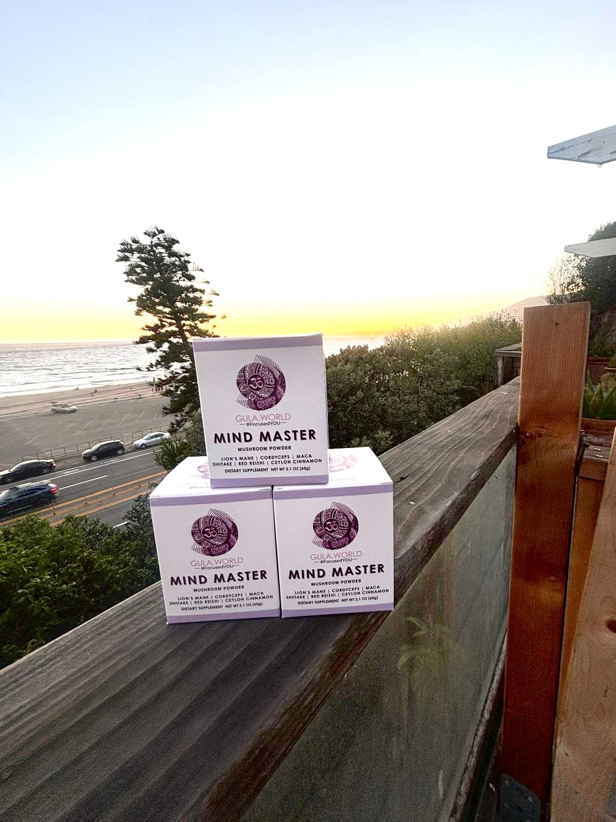 Premium Mushroom Powder for Mental Clarity & Focus (90 days' supply)