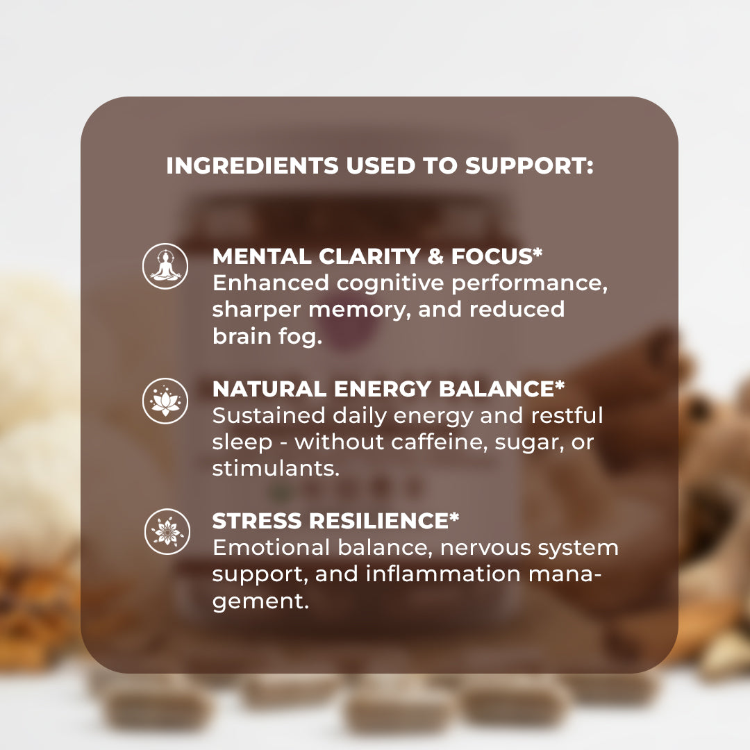 Mind Master Mushroom Capsules 6 Months' Supply High-Concentration 8:1 Extract Formula